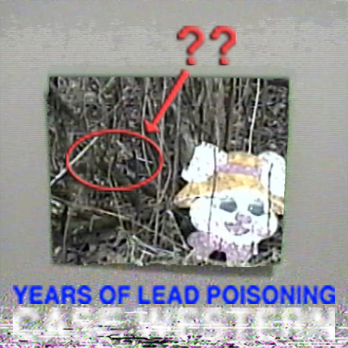 Years of Lead Poisoning CASE WESTERN