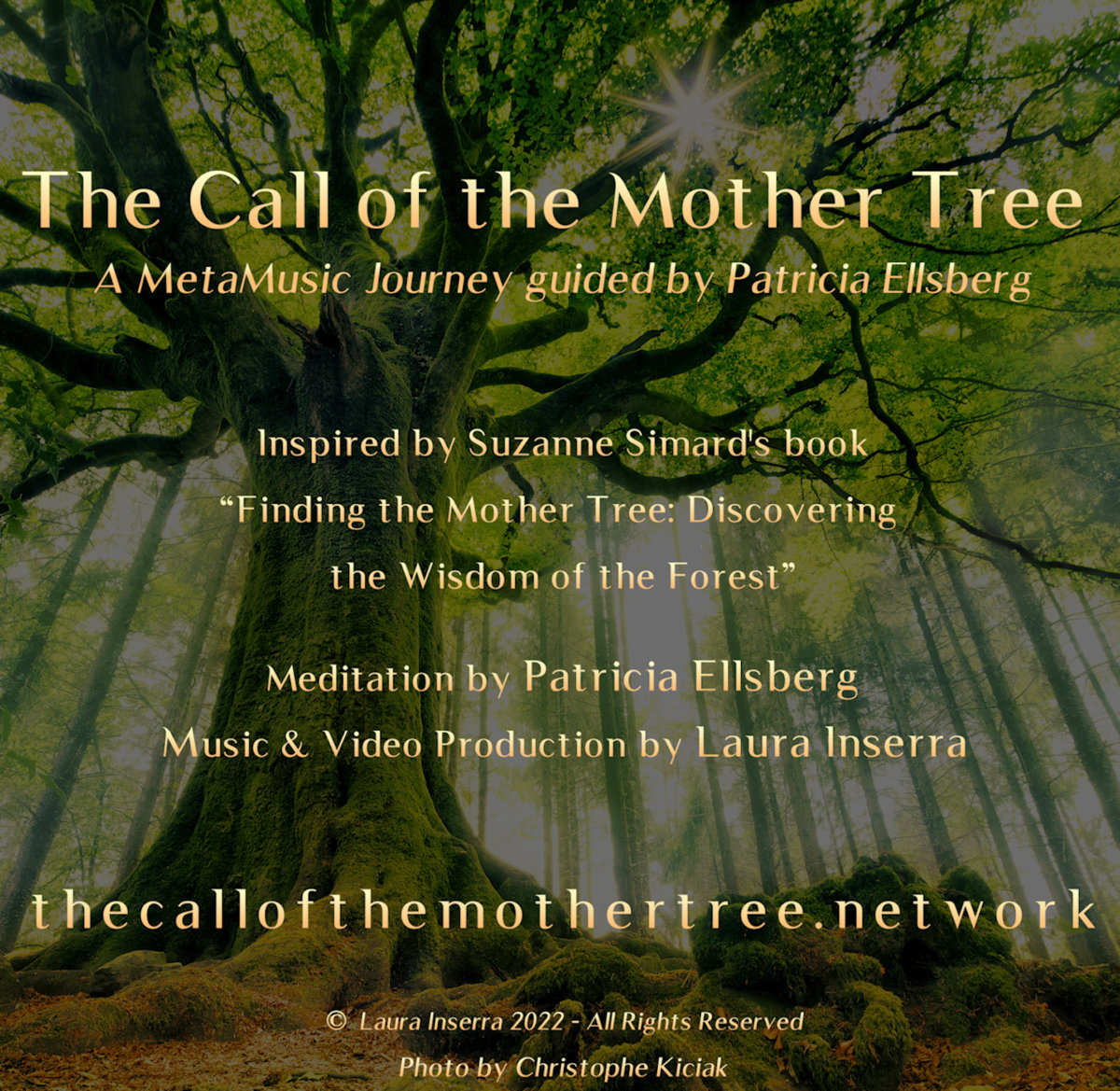 The Call of the Mother Tree