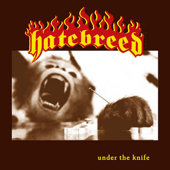 Hatebreed ‎– Under The Knife 7inch Hatebreed – Under The Knife – Vinyl (Orange, 7