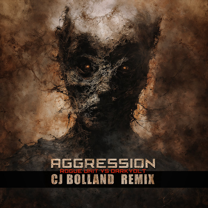 Aggression (CJ Bolland Remix), by Rogue Unit vs Darkvolt