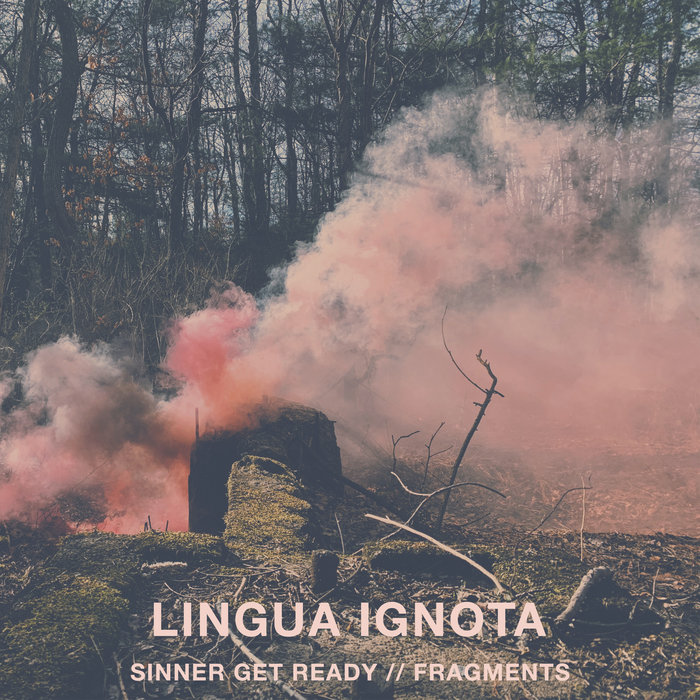 Fly, by LINGUA IGNOTA