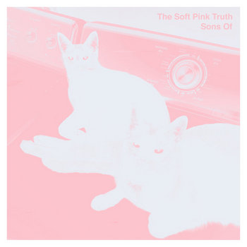 The Soft Pink Truth Discography: Vinyl, CDs, & More | Discogs