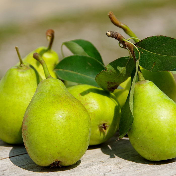 Pear Love | The Natural Pear Association | hanahata