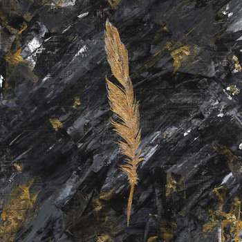 Post Black Metal Bliss Illusion Release Another New Track