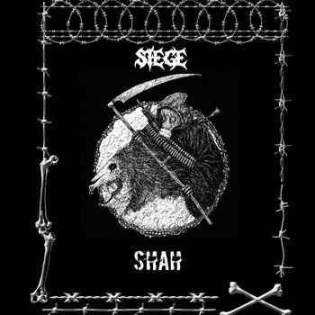 Cover of Shah
