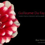 Guillaume Du Fay: motets, hymns, chansons, sanctus papale