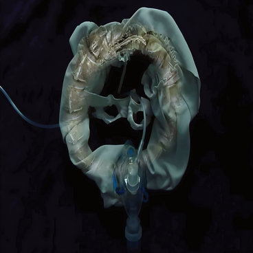 InitiatriX main photo