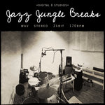 🥁 Jazz Jungle Breaks