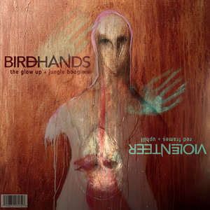 Violenteer / Birdhands SplitViolenteer / Birdhands cover