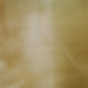 The Secret Golden Copy cover