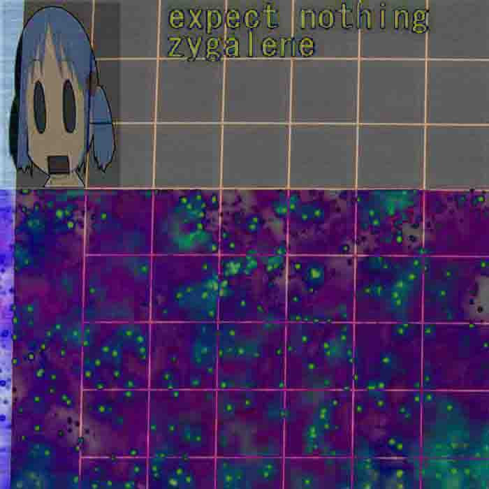 expect nothing zygalene