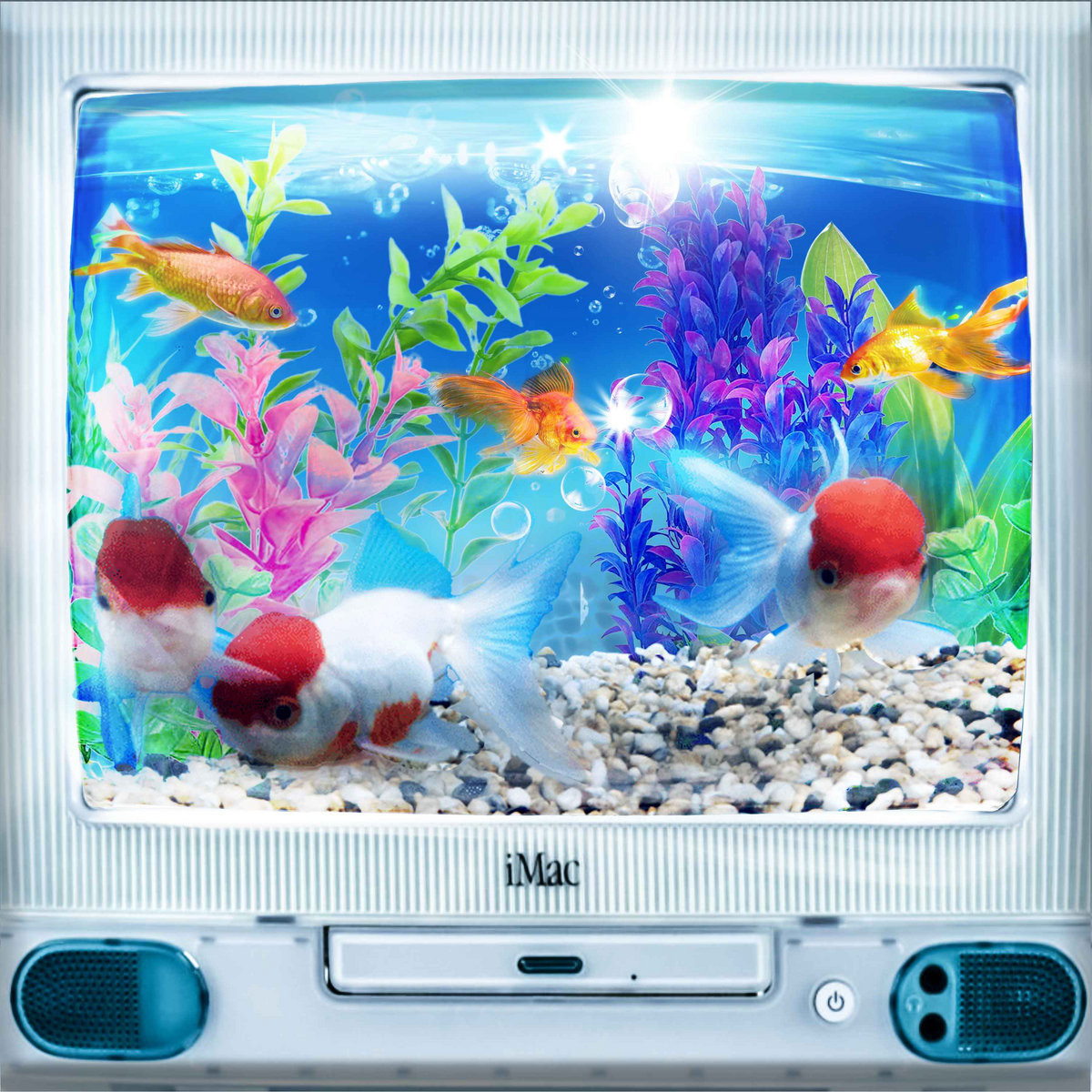 Goldfish Lullabies cover