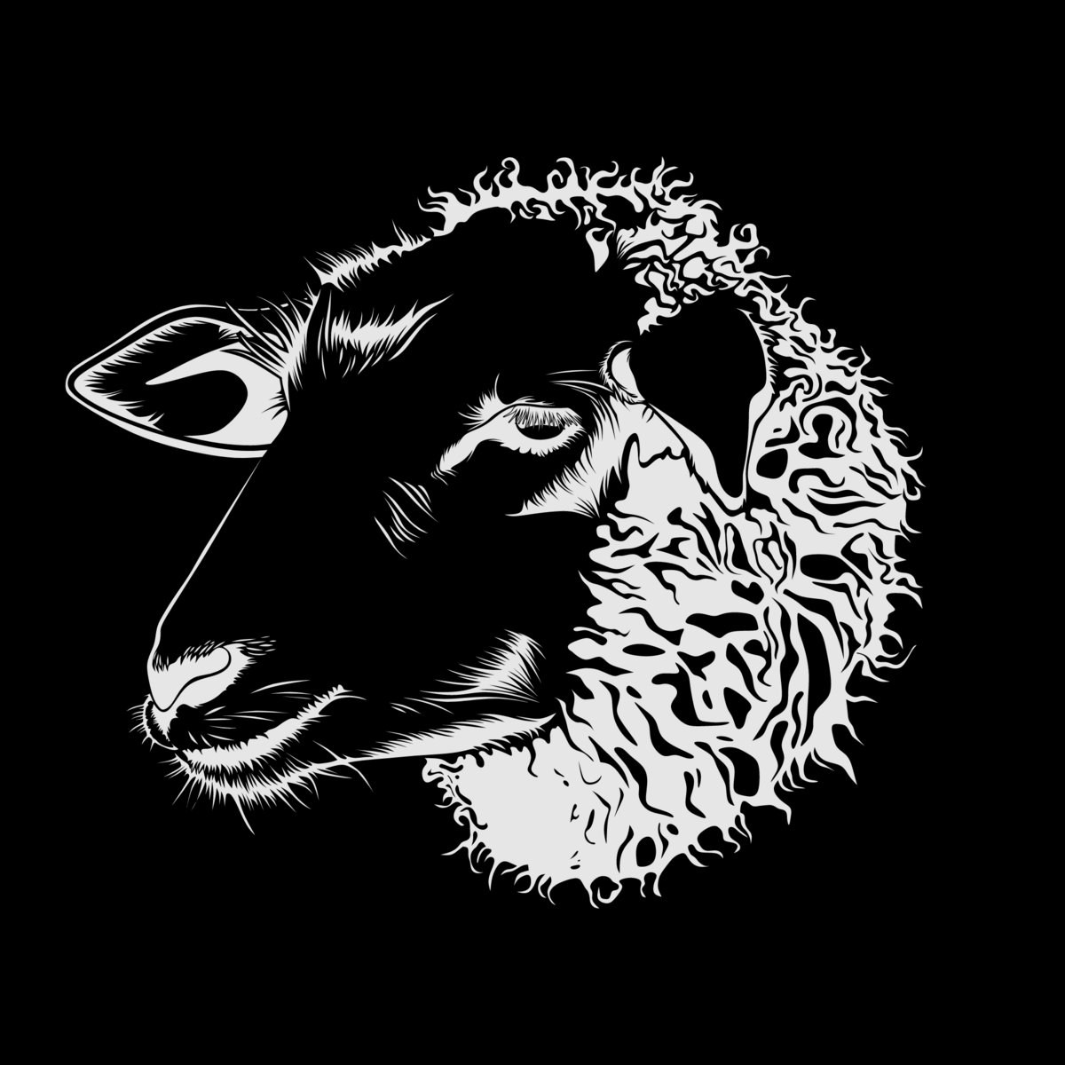 Black Sheep | Ryland Fisher