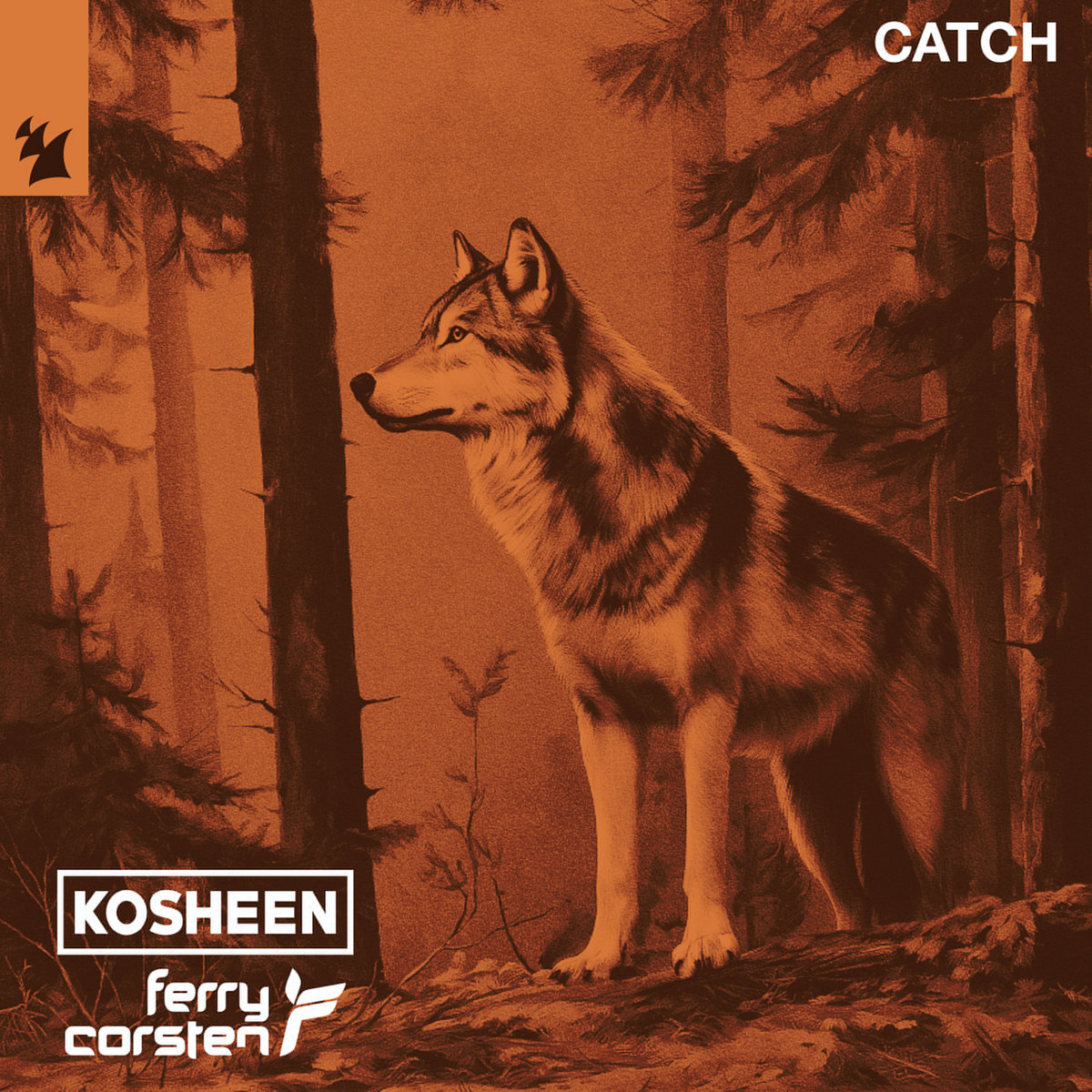 蘭12” Various Ferry Corsten Remixes 01 COR111 Not On Label /00250 In my opinion, Ferry Corsten's best work!!! 😎🎧