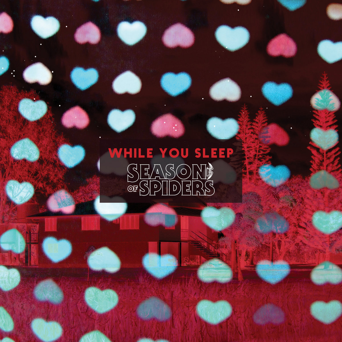 While You Sleep [Single] cover