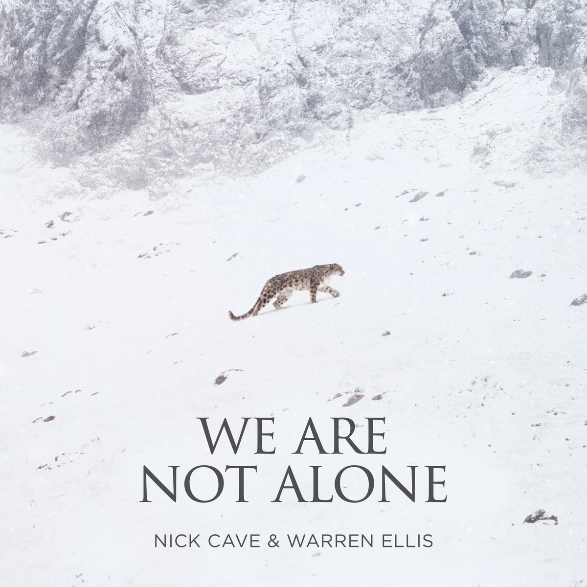 We Are Not Alone Nick Cave & Warren Ellis Invada