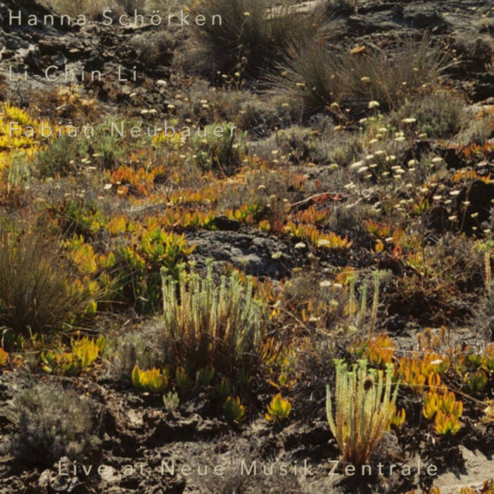 Live at Neue Musik Zentrale von Hanna Schörken/Li-Chin Li/Fabian Neubauer Live at Neue Musik Zentrale von Hanna Schörken/Li-Chin Li/Fabian Neubauer