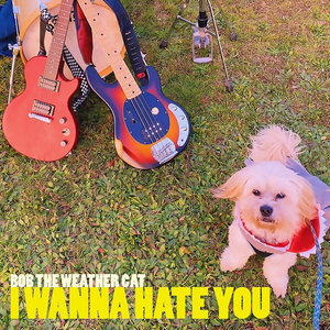I Wanna Hate You cover