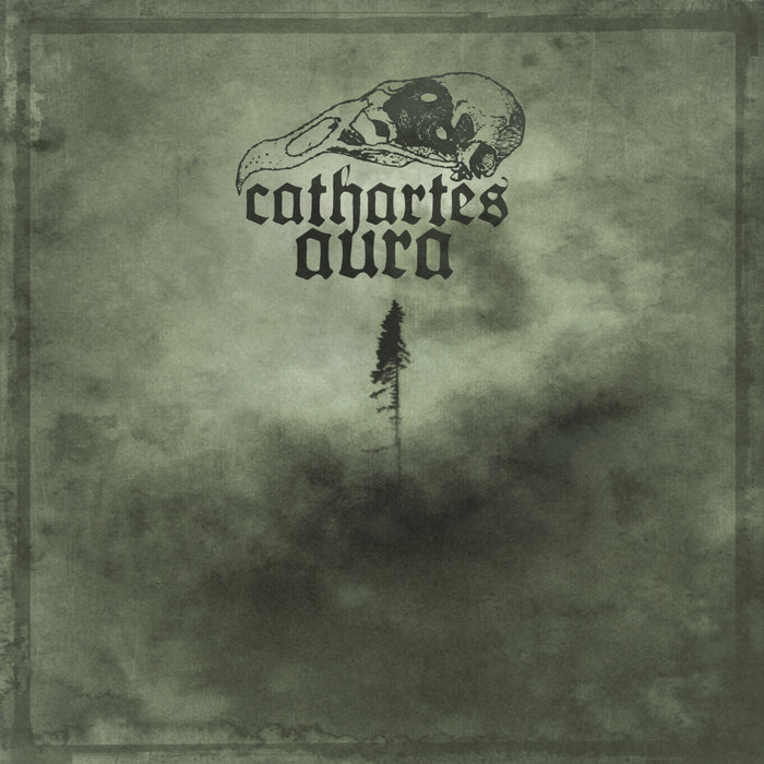 Cathartes Aura — Photo