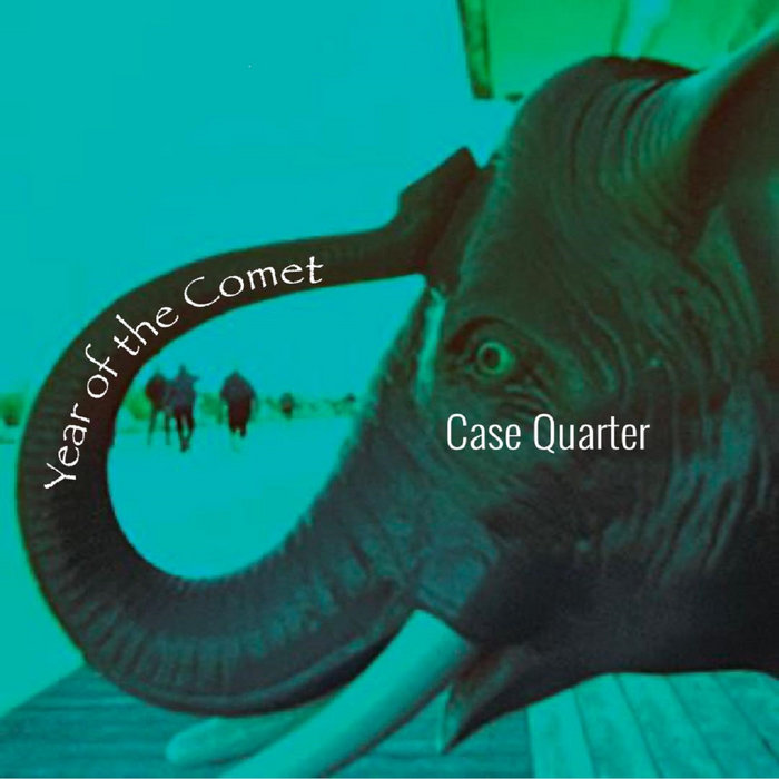 Case Quarter Year of the Comet