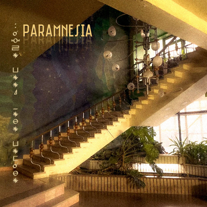 Paramnesia | Meditative Delusion