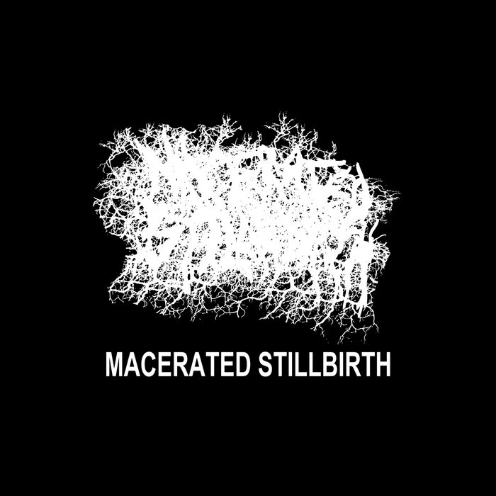 Macerated Stillbirth Macerated Stillbirth Nihilistic Noise Propaganda