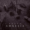 Amnesia