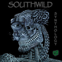 Synthology cover art
