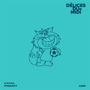 Délices du Midi (DDM025) cover