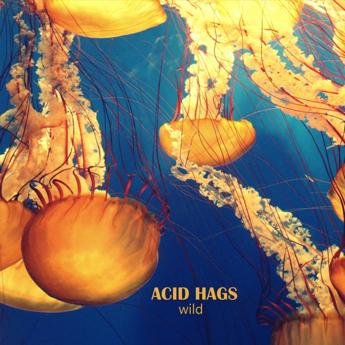 Music | Acid Hags