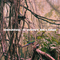 Domino / It Won't Be Long cover art