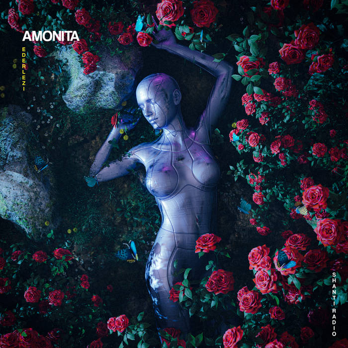 Amonita