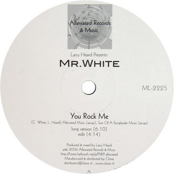 The Sun Cant Compare / You Rock Me Mr White, Larry Heard