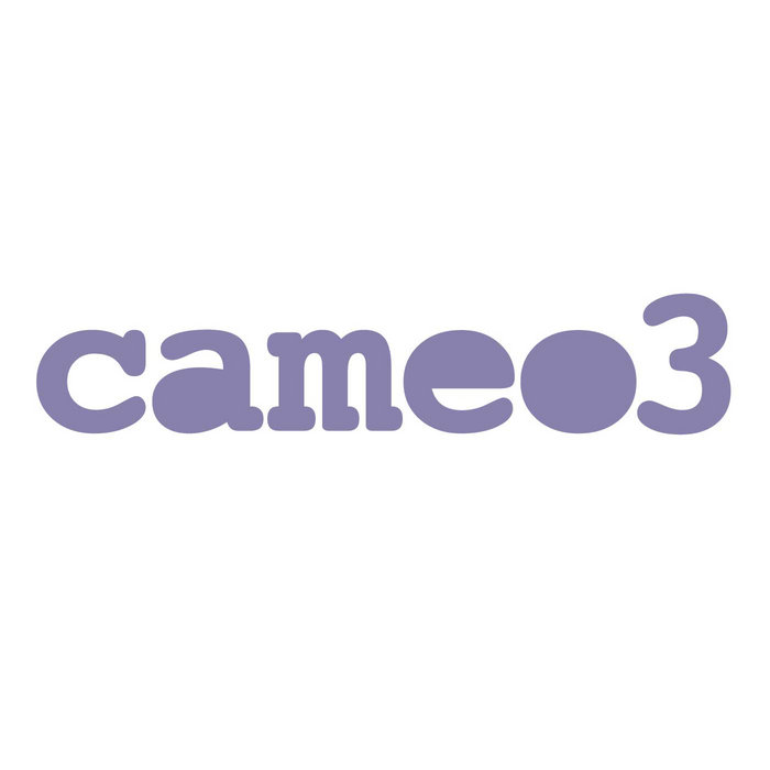 Silhouette Cameo 3, Various Artists