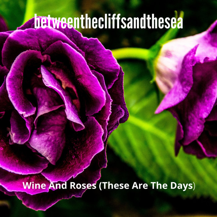 Wine And Roses (These Are The Days) betweenthecliffsandthesea