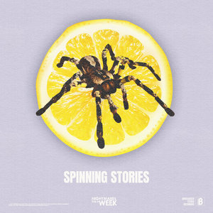 Spinning Stories (Single) cover