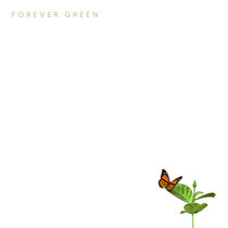 Forever Green cover art