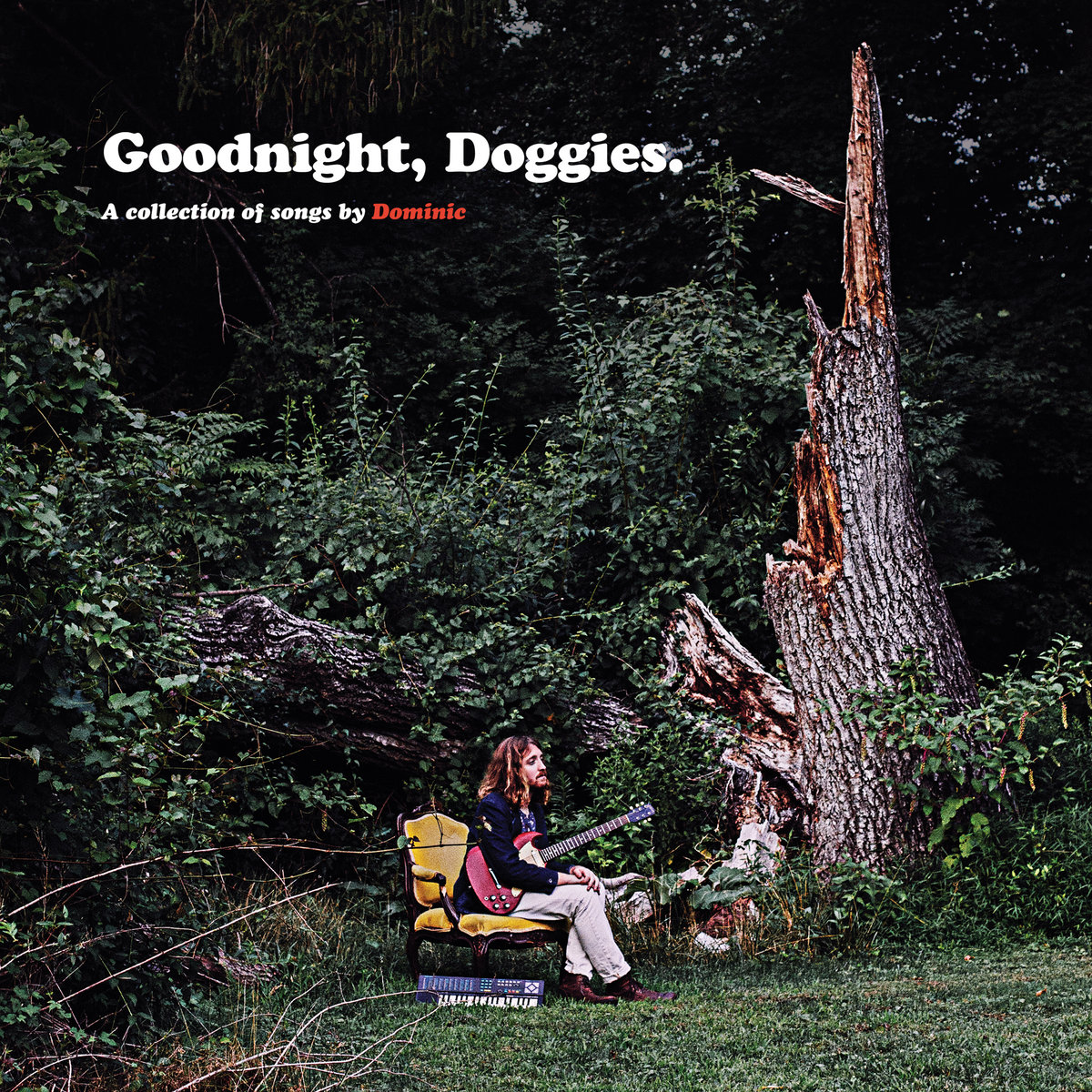 Image result for Dominic: Goodnight, Doggies. album art