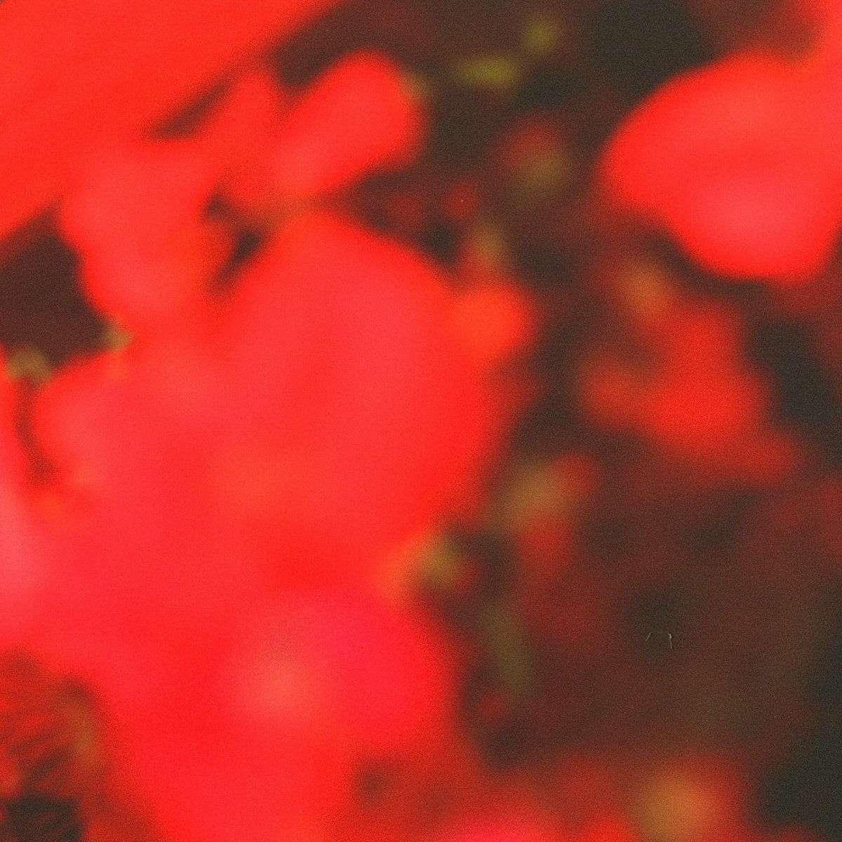 In The Warmth Of The Red Lights. SEMANTICA 171