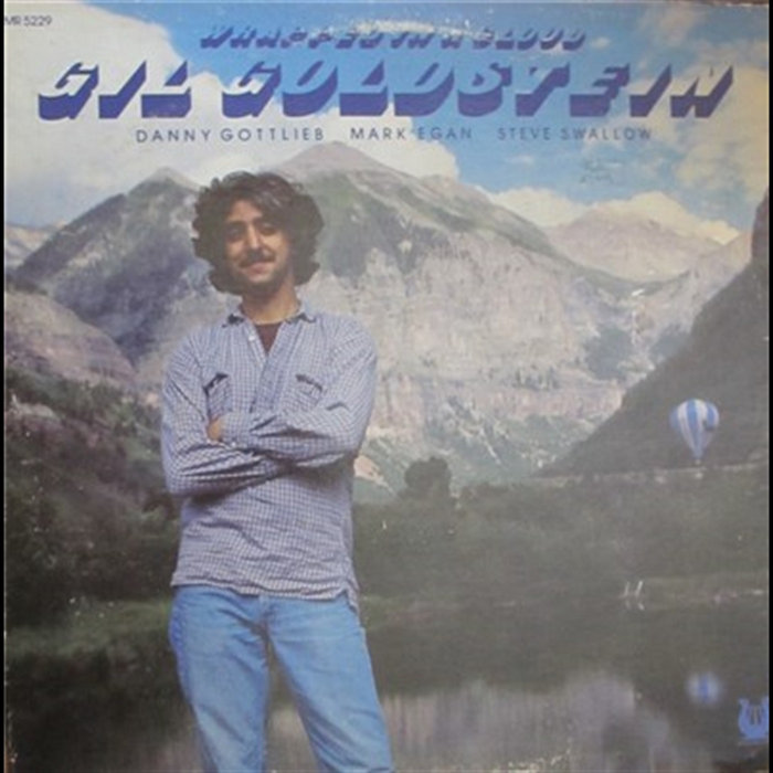 Wrapped In A Cloud | Gil Goldstein