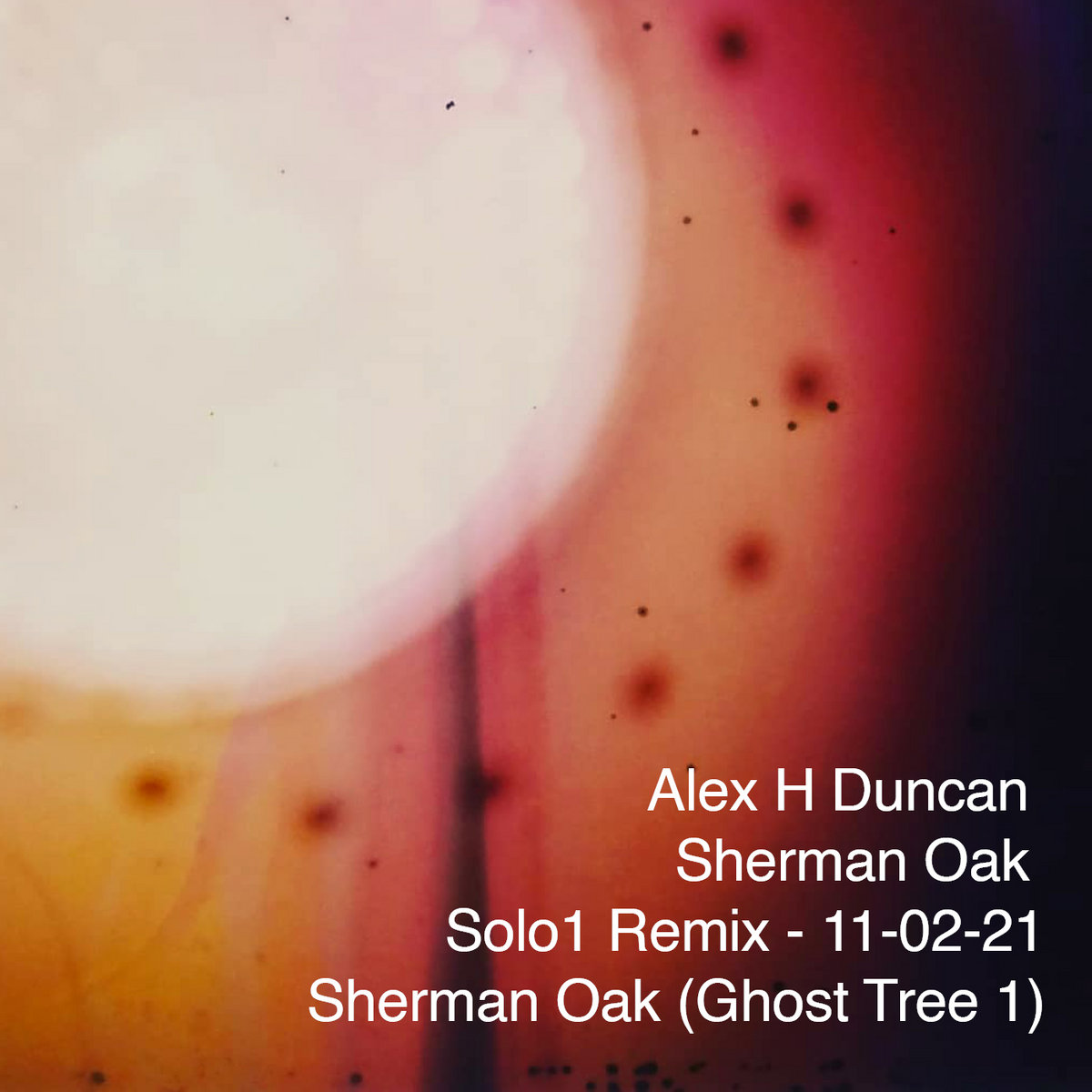 Sherman Oak Ghost Tree (Solo1 Remixes) Alex H Duncan