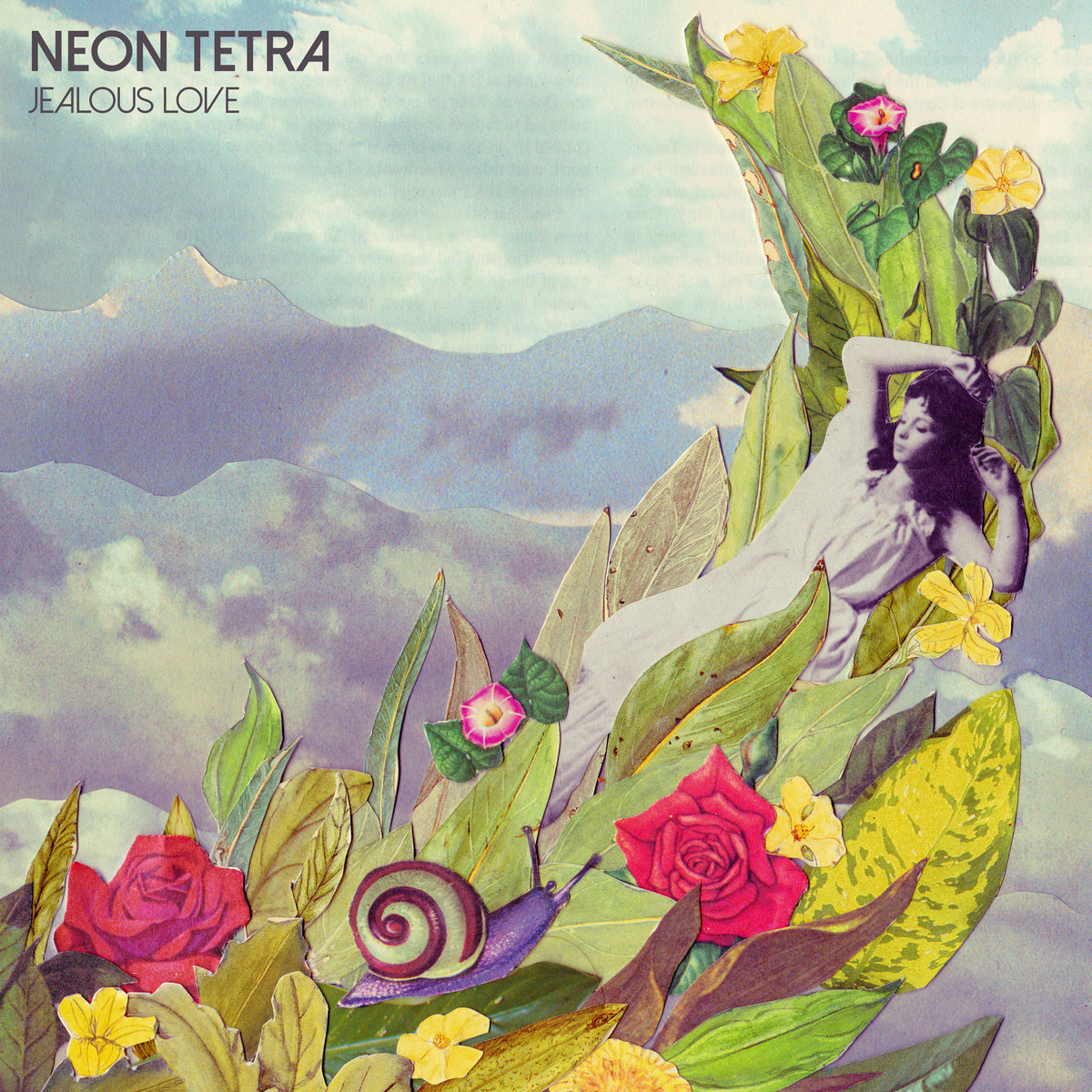 Jealous Love | Neon Tetra