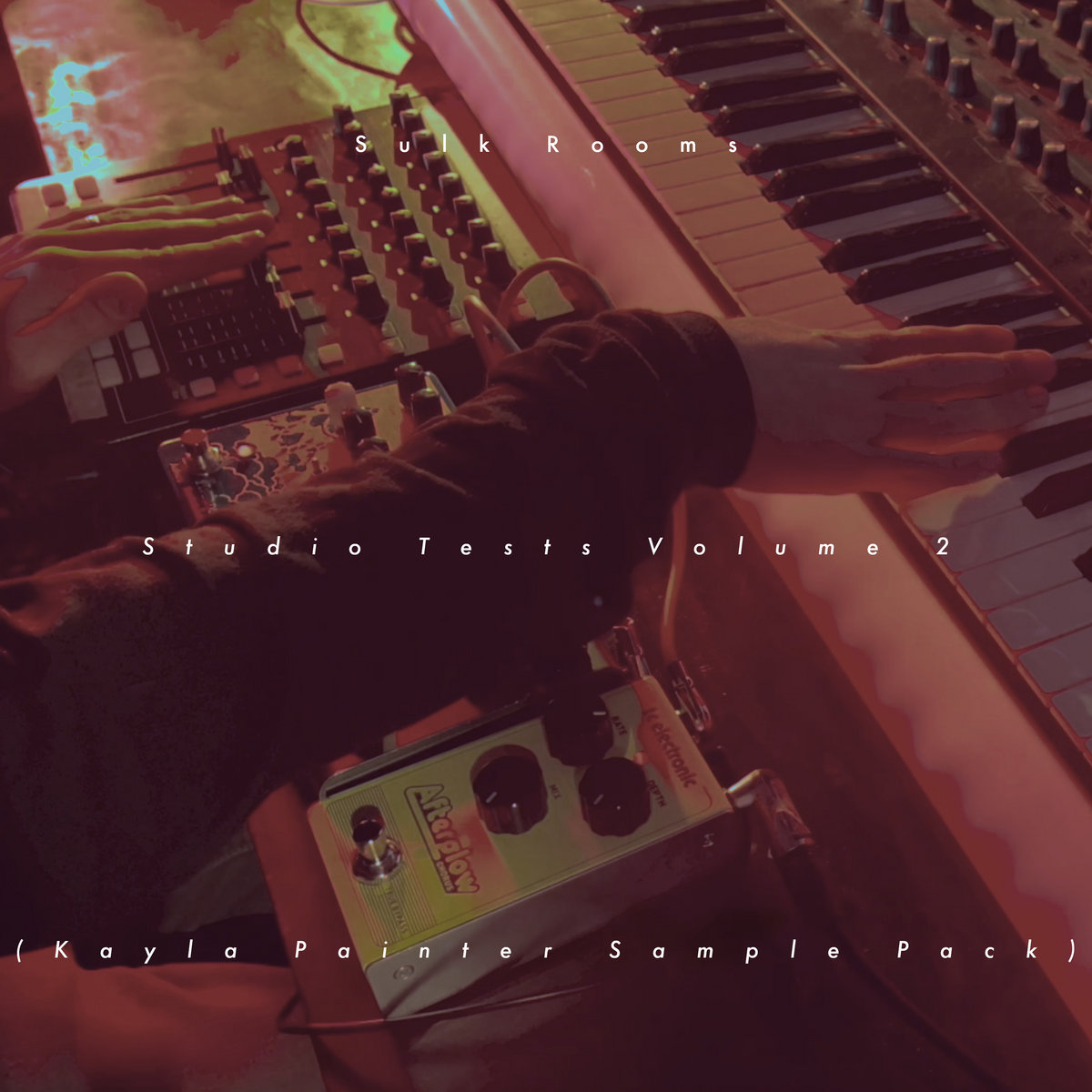 Studio Tests Volume 2 (Kayla Painter Sample Pack) Sulk Rooms