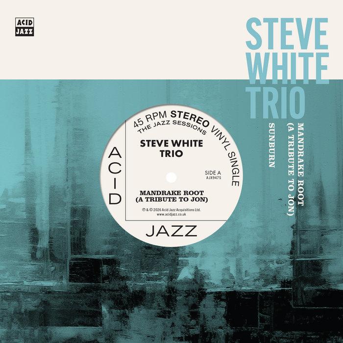 Pochette de Mandrake Root (A Tribute To Jon) par Steve White Trio