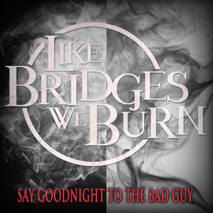Say Goodnight to the Bad Guy cover