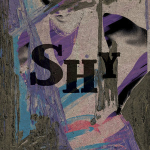 Ani DiFranco — ShyAni DiFranco, Dessa