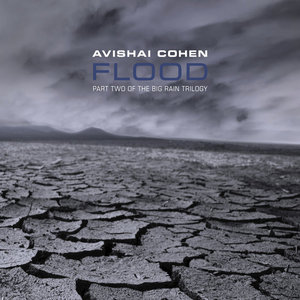 Flood cover