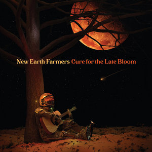 Cure For The Late Bloom cover