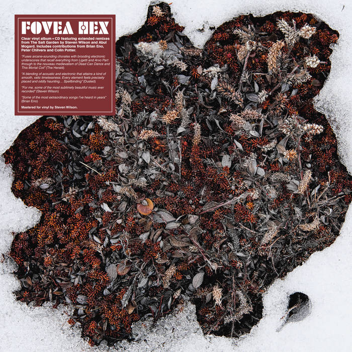 英LP Fovea Hex The Salt Garden (Landscaped) TWI1247 Les Disques Du Crepu 未開封 /00260 The Salt Garden (Landscaped) | Fovea Hex