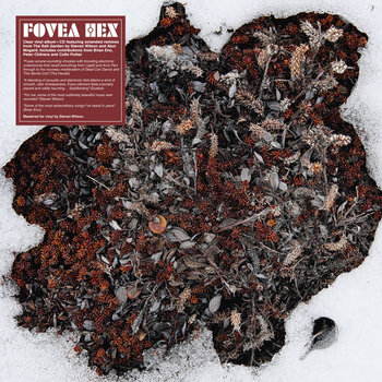 Music | Fovea Hex